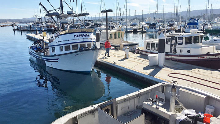 Breakwater Cove Marina in Monterey filming location in Monterey County