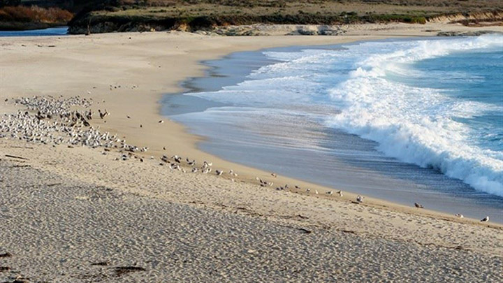 Carmel River State Beach filming location in Monterey County
