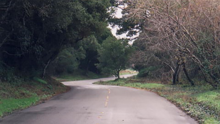 Iris Canyon Road Monterey filming location in Monterey County
