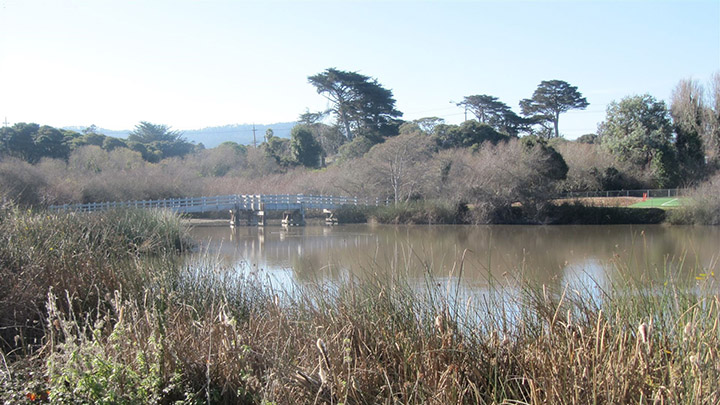 Laguna Grande Park filming location in Monterey County