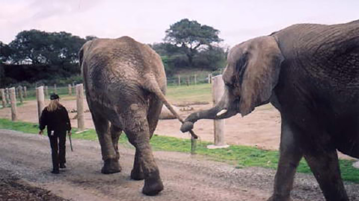 Monterey Zoo filming location in Monterey County