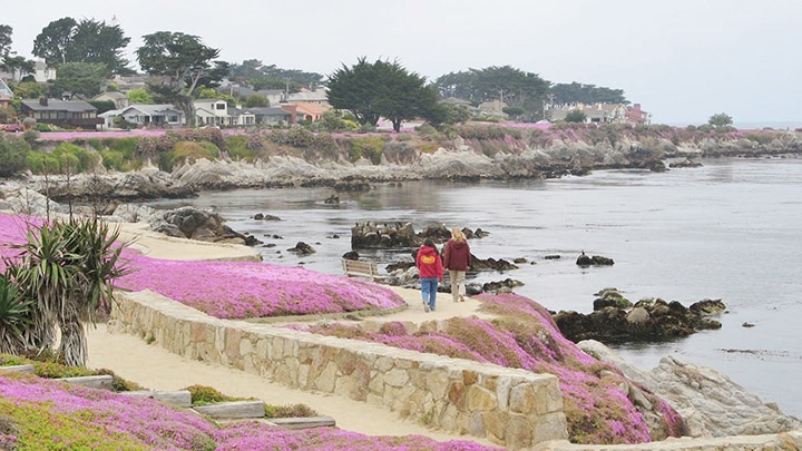 Pacific Grove filming location in Monterey County