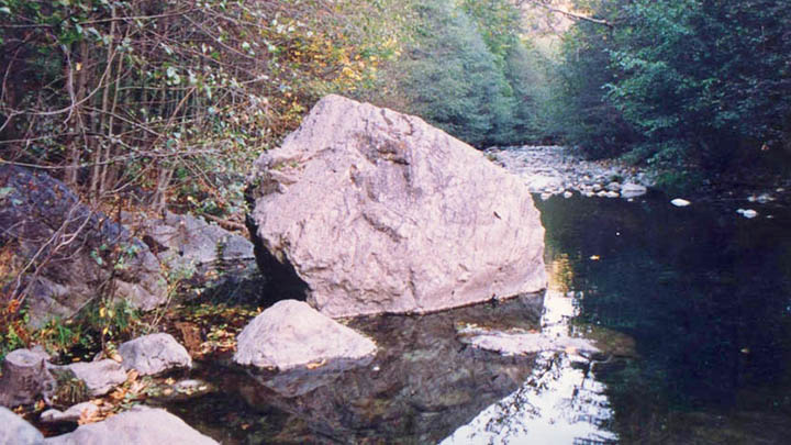Pfeiffer Big Sur State Park filming location in Monterey County